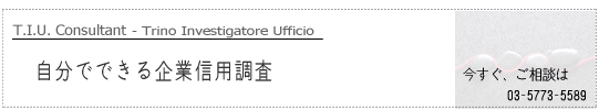 T.I.U.�����T��Ђ������鎩���łł����ƐM�p����